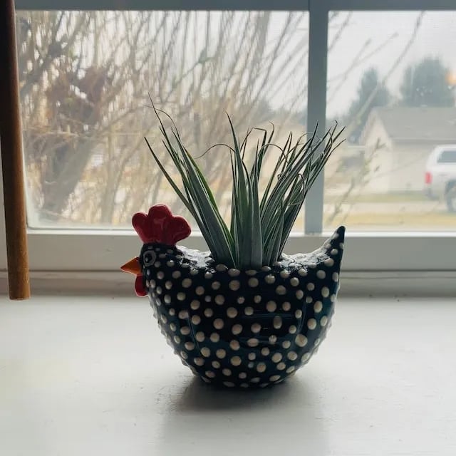 Chicken flowerpot ornament