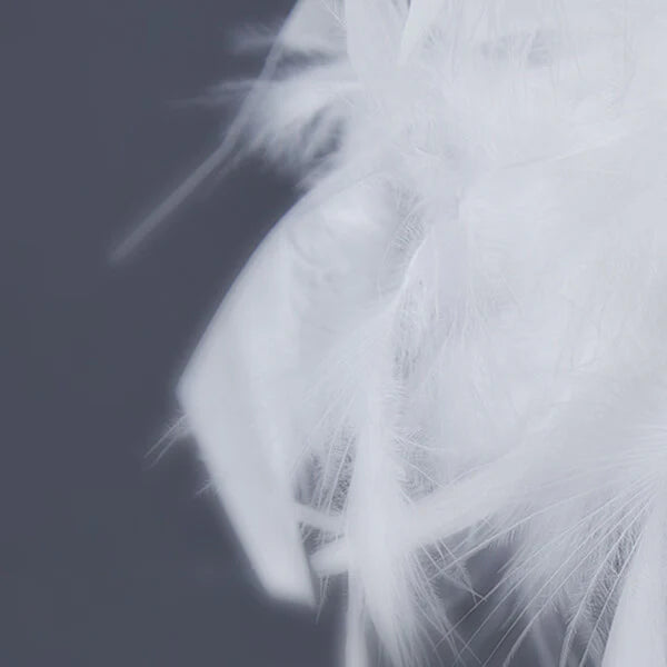 Feather Table Lamp