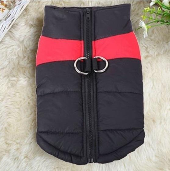 Dog Jacket - Special Discount