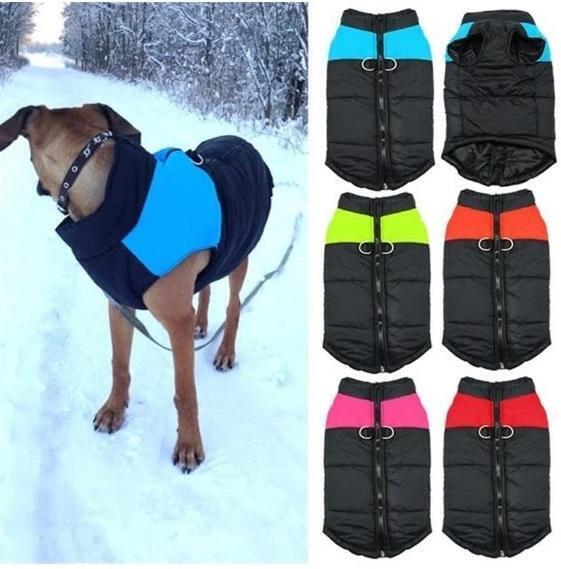 Dog Jacket - Special Discount