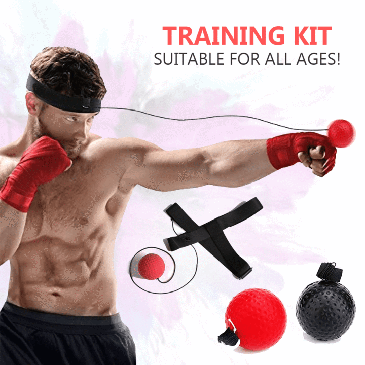 Boxing Reflex Ball