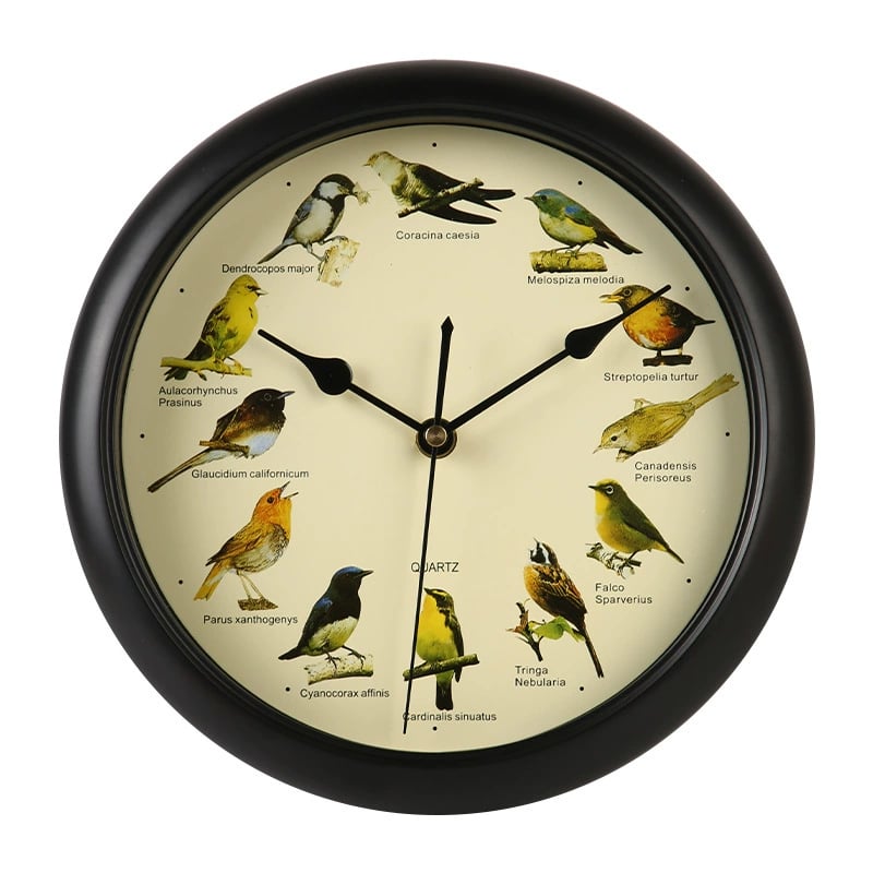 💥Singing Bird Wall Clock