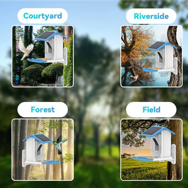 🔥Smart Hummingbird Feeder & Bird Bath