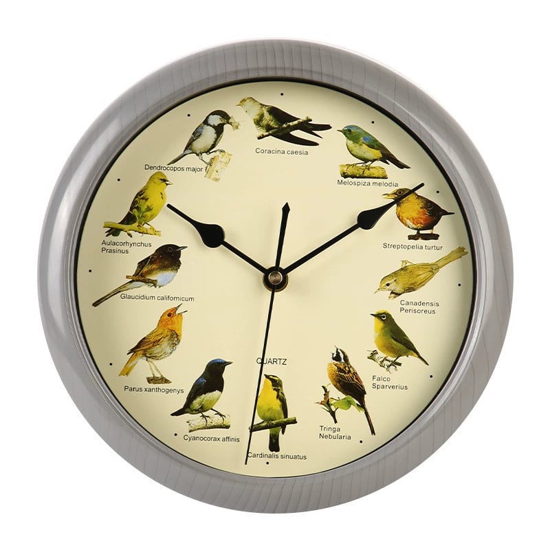 💥Singing Bird Wall Clock