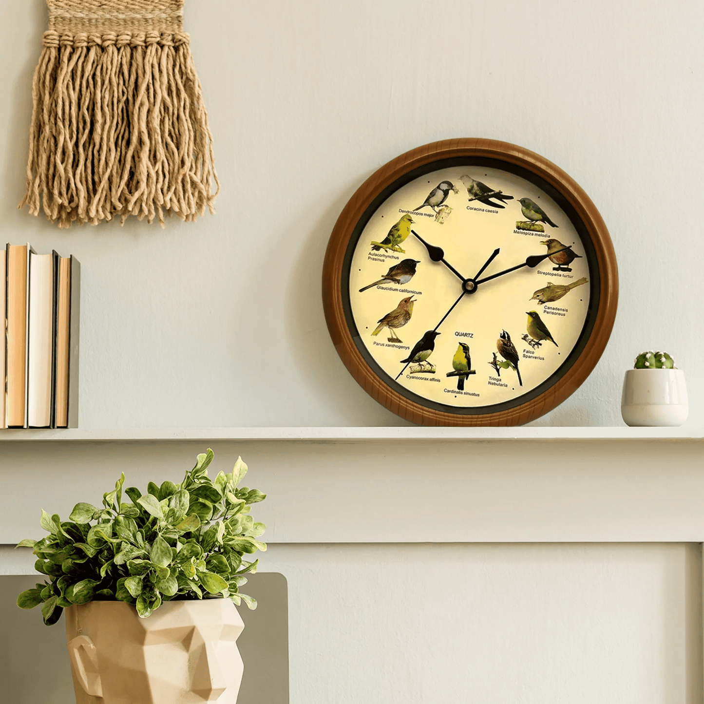 💥Singing Bird Wall Clock