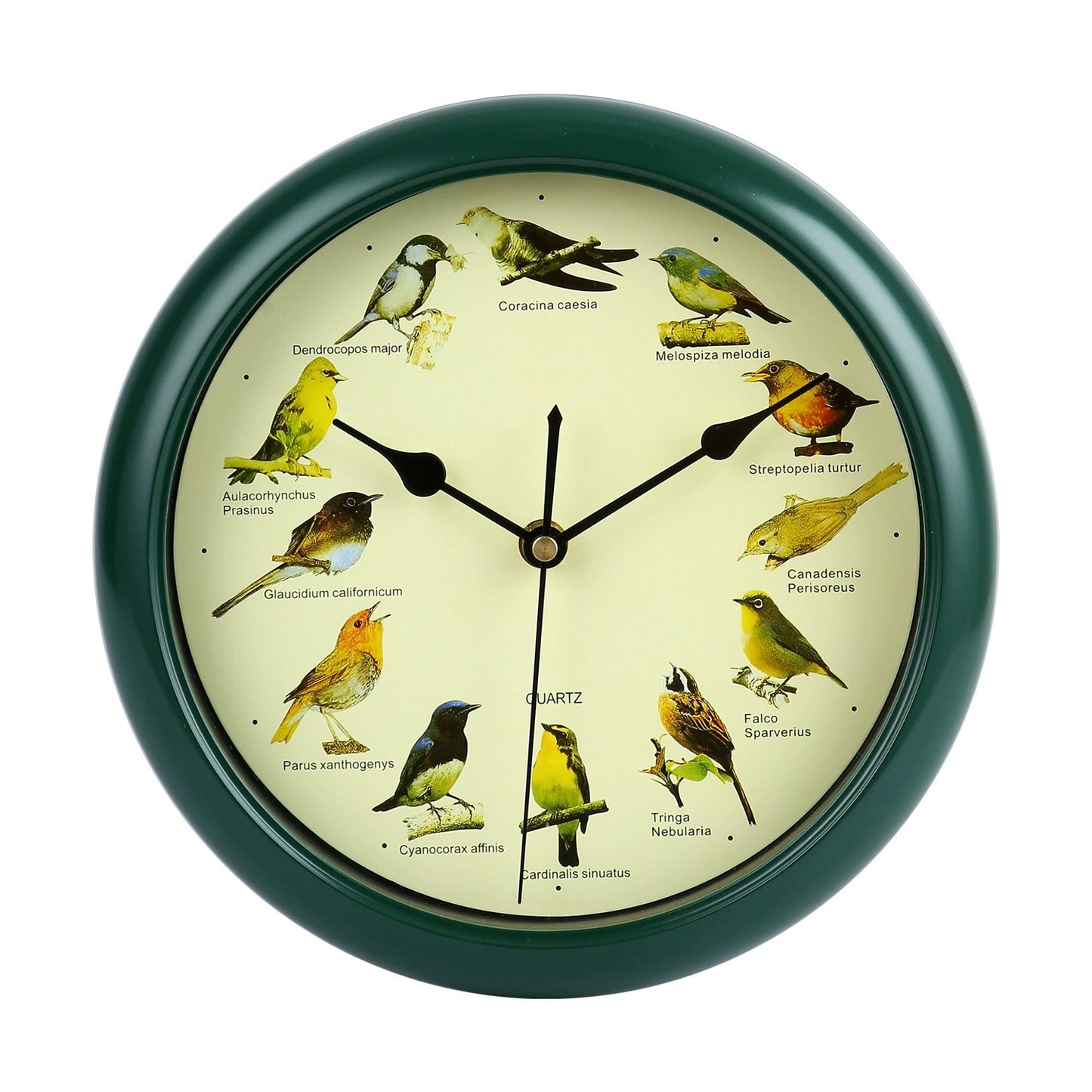 💥Singing Bird Wall Clock