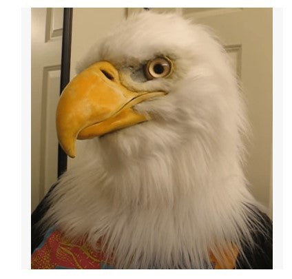 🐺WEREWOLF HEADWEAR COSTUME MASK🐺