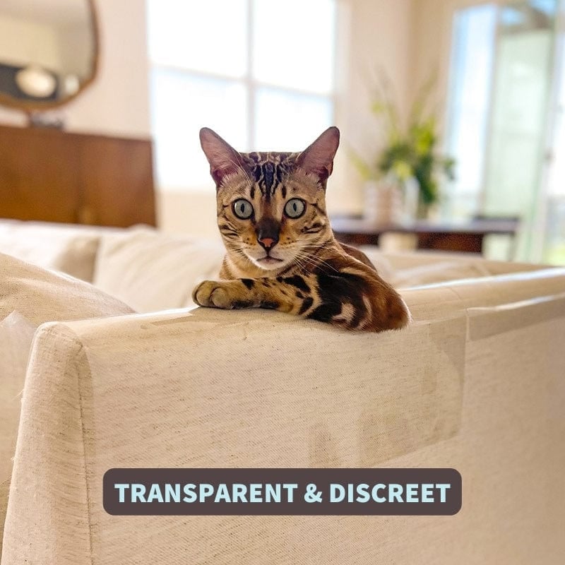 🔥🔥 Furniture Scratch Protector