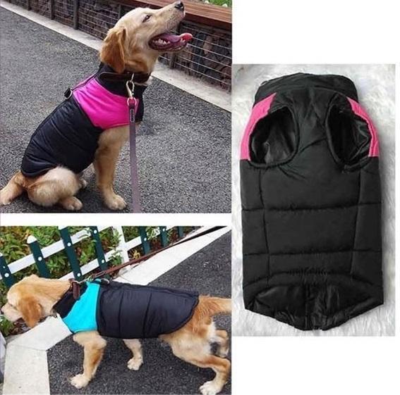 Dog Jacket - Special Discount